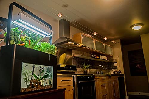 AquaSprouts Aquaponics Garden, Kit De Ecossistema Hidropônico Para Aquário De Mesa Autossustentável,