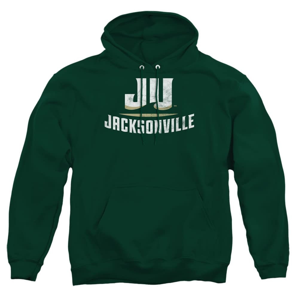 LOGOVISION Official Collegiate Distressed Primary Logo Adult Pullover Hoodie Collection — view 5