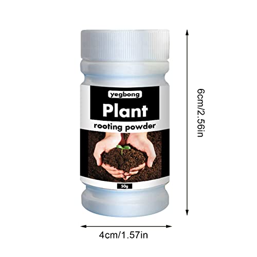 Clomuzi Wurzeldünger Universal Rooting Powder Nutritive Oder Pflanze Bewurzelungshormon, Bewurzelungspulver Wurzelaktivator Wurzelbildung Puder 50g/100g – Bild 3