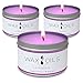 Wax and Oils Soy Wax Aromatherapy Scented Candles, Lavender, 8 oz (Pack of 3)