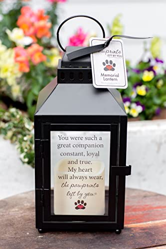 Pawprints Left By You Memorial Gifts Pawprint Left Metal Lantern, Black #TOP5