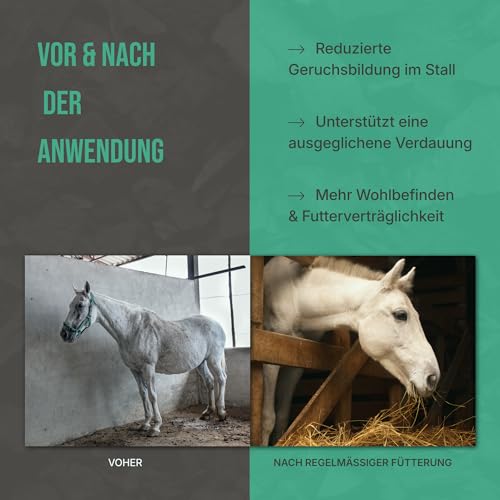 C44-Zittau Premium Futterkohle 0-3 mm für Pferde – 100% natürlicher Futtermittelzusatz für Verdauung, Stallhygiene, Geruchsbindung, Güllequalität & Darmflora – Made in Germany (10L)