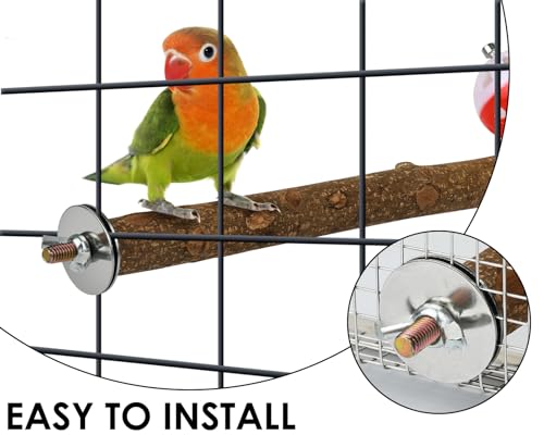 Image of DS. DISTINCTIVE STYLE Bird Perch Stand Toy with Rotatable Balls, Wooden Perch for Bird Cage, Suitable for Green Cheeked Conure, Budgie, and Pineapple Conure, Colourful
