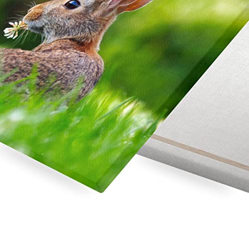 Photo animaux sauvages lièvre tableau pour mur vide chambre - 2