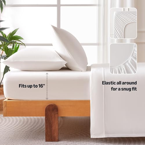 Image of Amazon Basics Jersey Knit 4-Piece Sheet Set, Wrinkle Free and Easy Fit, Includes 16 inch Deep Pocket Fitted Sheet, 1 Flat Sheet and 2 Pillowcases, Queen, White
