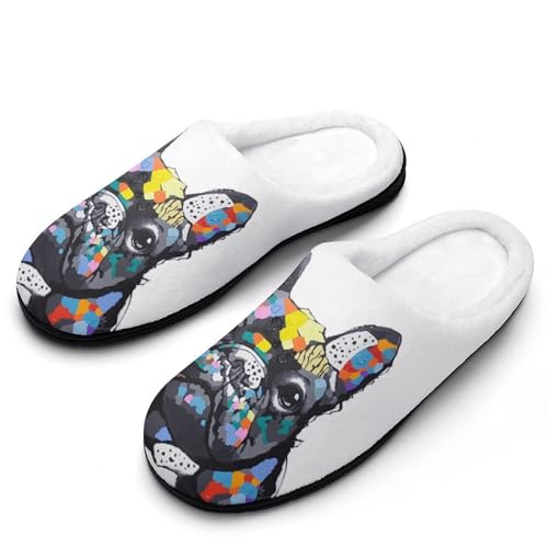 [STEBVI] Xbp  t`uhbO  G  [V[Y  nEXXbp  Y fB[X  ~ g 􂦂 qp p jp v[g