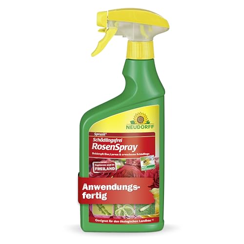 Neudorff Spruzit Schädlingsfrei RosenSpray – Anwendungsfertiges Spray zur Bekämpfung von Blattläusen, Spinnmilben und weiteren Schädlingen an Rosen, 750 ml