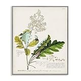 Stupell Industries Botanical Plant Illustration Leaves Vintage Design Grey Framed Wall Art, Multi-Color, 11 x 14