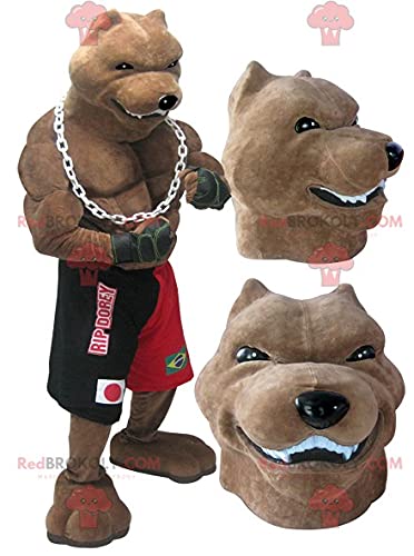 What does an american bully xl dog look like