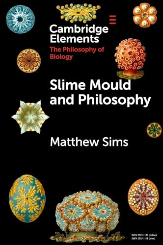 Slime Mould And Philosophy