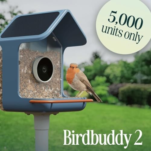 Page de couverture de Techstination interview: What will be new in Bird Buddy 2