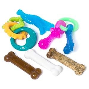 Nylabone New Puppy Starter Kit, 5 Chew Toys and 1 Natural Treat for Puppies, Multi Color, Bacon & Chicken Flavor, Small Dogs – Up to 25 lbs., 6 Pack