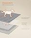 Feandrea Hundedecke, wasserdichte Decke, M, 102 x 73 cm, für Minihunde, kleine Hunde, beidseitig verwendbar, Hundesofa waschbar, Taubengrau-hellgrau PPB034G01