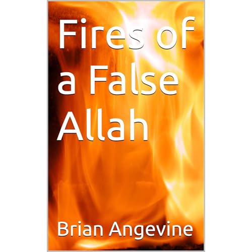 Fires of a False Allah Audiolibro Por Brian Angevine arte de portada