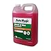 Auto Magic Wash & Wax Concentrate, Soap & Wax, 1 GAL