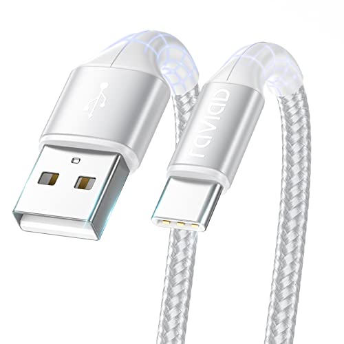 RAVIAD USB C Kabel 3M, Nylon Typ C Ladekabel und Datenkabel USB C Schnellladekabel für Samsung Galaxy S20 S10 S9 S8 A51 A50 A41 A21s A20, Huawei P40 P30 Lite P20 Pro, OnePlus - Silber