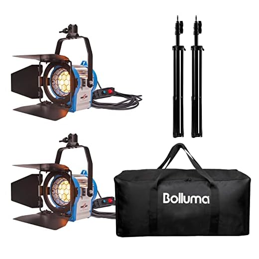 Fresnel Tungsten Punkt-Beleuchtung 500Wx2 Dimmer für Film-Videokamera Filmstudio