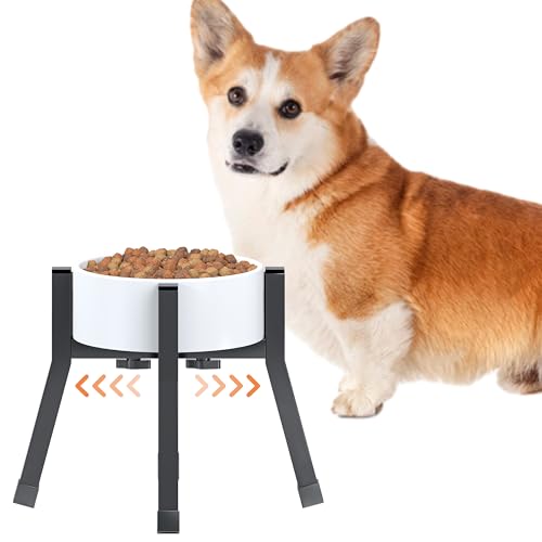 Raised Dog Bowl Stand Medium-Sized Dogs with Adjustable Width (6-8