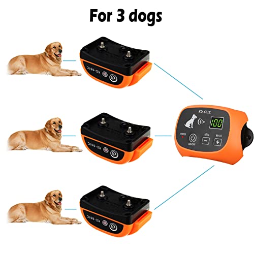 Training with Dog Wireless Fence