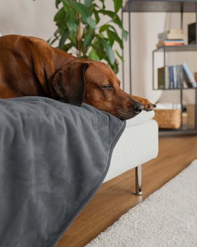 TrendPet Pearl, wasserdichte Decke, Kuscheldecke, Hundedecke, Sofadecke, Bettdecke (220x120 cm)