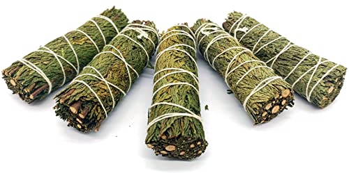 CRIGEMA - Smudge di Cedro Cover