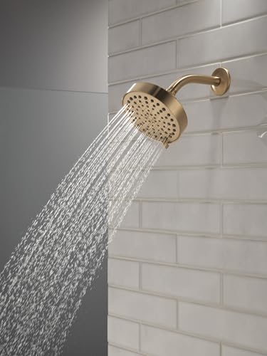 Image of Delta Modern 4-Setting Brushed Gold Shower Head, 5.75 Inch Round Shower Head, 1.75 GPM Flow Rate, Champagne Bronze 52401-CZ