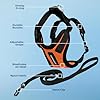 Voyager Escape-Proof Step-in Lock Cat Harness & 5ft Neoprene-Handle Leash Set All-Weather Mesh with Reflective Stitching for Small to Large Cats by Best Pet Supplies, Orange/Black Trim, XS #2