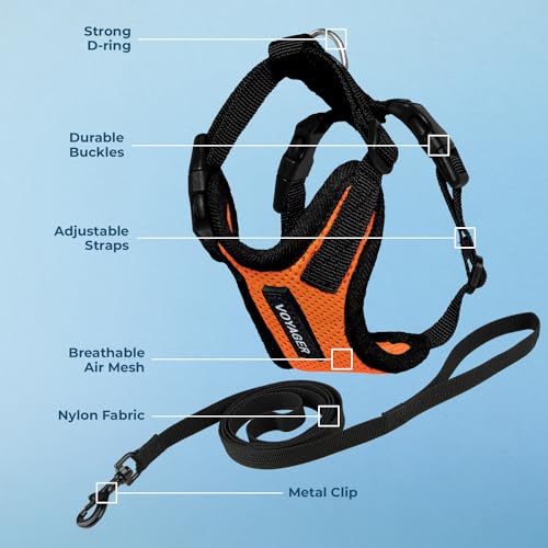 Image of Voyager Escape-Proof Step-in Lock Cat Harness & 5ft Neoprene-Handle Leash Set All-Weather Mesh with Reflective Stitching for Small to Large Cats by Best Pet Supplies, Orange /Black Trim, XXXS