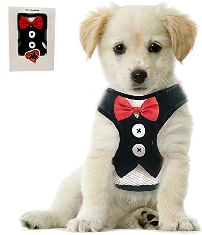 Small Puppy Harness with Bowtie, Adjustable Dog Vest Mesh Tuxedo Harness for Small Dog Kitten, Perfect for Party Wedding Holiday (M, Black Velvet)
