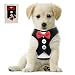 Bark Lover Small Puppy Harness with Bowtie, Adjustable Dog Mesh Tuxedo Harness Leash Set for Small Dog Kitten, Perfect for Party Wedding Holiday(S, Black Velvet)