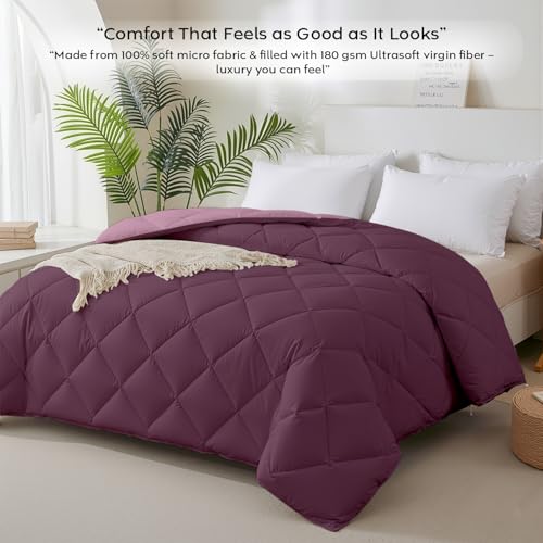 Image of AYKA Reversible AC Comforter 150 GSM Lightweight Microfiber Summer Blanket for Double Bed (90x100 Inches) | Soft Cooling Quilt, Breathable All Season Duvet for AC Room | Cameo & Plum