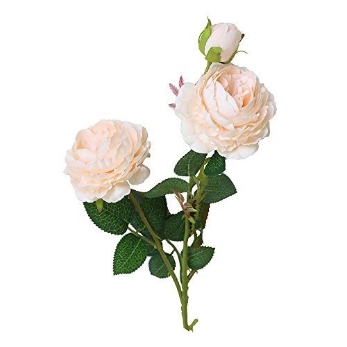 Best Silk Flowers Near Me 10Reviewz