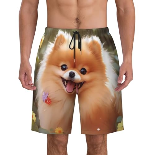 Pomeranian Dog Print Men's Beach Pants Lightweight Quick-Dry Swim Pants with Mesh Lining for Men