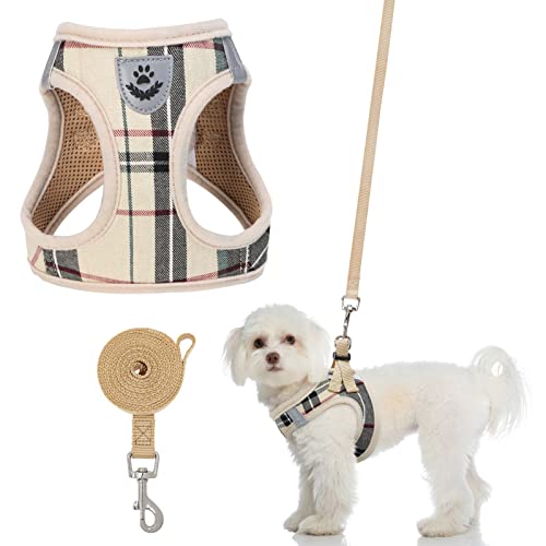 Best Harness For A Cavapoo 2023 Vet Ranch We Love Pets