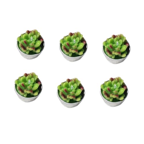 FUNOMOCYA Succulent Candles Set Tealight Candles for Birthday Wedding Spa Home Decorations