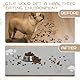 COYUN 1 Pcs Napfunterlage Hund rutschfest, Super Saugfähige Futtermatte für Hund und Katze 20x30 cm, Waschbar Hundenapf Futternapf Unterlage, Unterlage Hundenapf, Futterunterlage für Katzen und Hunde