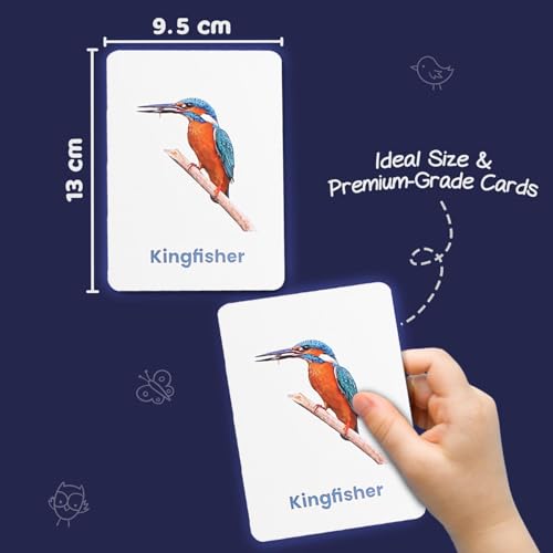 Image of Intelliskills Premium 10-in-1 Brain Boosting Flash Cards for Kids, Flash Card for 1+ Year Old Baby, Montessori Educational Toys for Girls /Boys, Fun Learning Activities, Birthday Gift (279 Flash Cards)