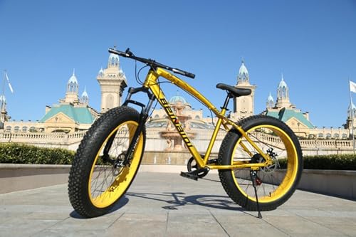 �X�m�[�o�C�N �t�@�b�g�o�C�N 20/24/46�C�� �ɑ��^�C�� �f�B�X�N�u���[�L ���]�� 7�i�ϑ� �}�E���e���o�C�N ��l�p ���w�� ���Z�� �w�� �ʋ� �ʊw [���s�A���i] (26�C���`,�S�[���f��)