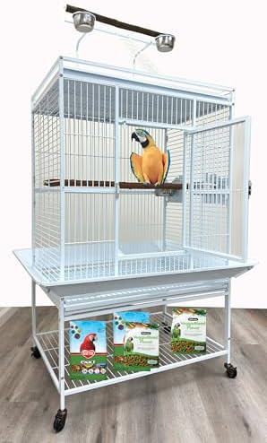 Best Bird Cages with Perches Included: Which One Stands Out? 5 Extra Large Elegant and Durable Wrought Iron Climging Ladders Perch Stand Play Top Ground Bird Parrot Rolling Metal Cage, Include Seed Guard (White Vein, 32" x 23" x 69"H)