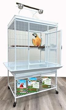 Best Bird Cages with Perches Included: Which One Stands Out? 2 best bird cages with perches included