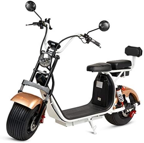 ECOXTREM Large Motorcycles City Coco 2 baterías Bronze/Brown