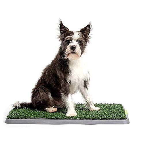 JOEPET Perro para Mascotas Orinal Pee Turf Grass - Almohadillas de Entrenamiento de la Caja de Basura de Mascotas, Alfombra de césped Artificial, Alfombras de Patio para Entrenadores,S