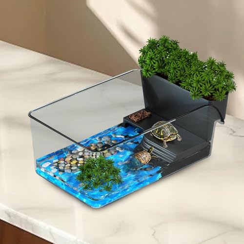 Boîte d'élevage pour reptiles d'eau douce avec zone de bronzage noir
