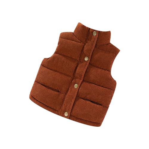 Boys Girls Sh𝐞rpa Vest Po𝐥ar Fleece Unisex Button Jackets Sleevless Kids Fall Winter Warm Outerwears With Pocket