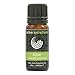Produktbild Calmer Solutions Elemi 100% reines ätherisches Aromatherapie-Öl, 10 ml