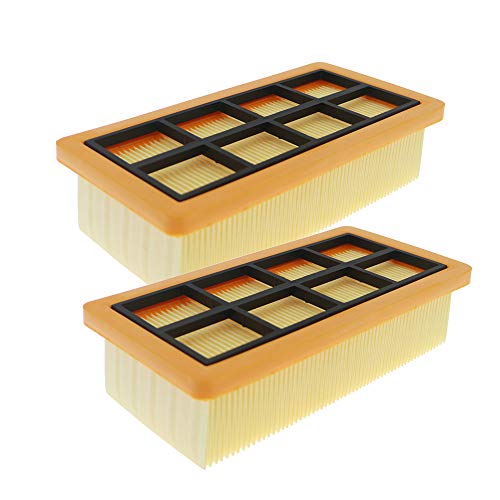 WuYan 2 Filtros HEPA para Karcher 6.415-953.0 AD 3.000 AD 3.200 - Limpieza de Polvo, Accesorios de Aspiradora