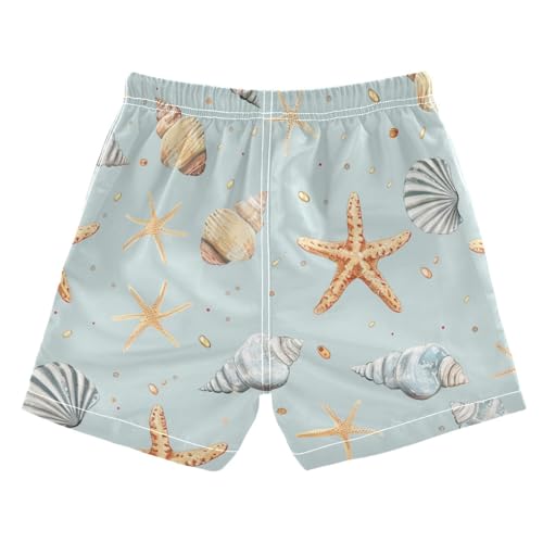 Small Starfish and Shells Light Blue Boy Beach Shorts Teens Bathing Suit Lightweight with Pocket Beach Swimming 2T2