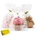 Cidenbio 100 PCS Cellophane Treat Bags, 5x7 In Clear Cellophane Gift Bags with Twist Ties Plastic Goodie Bag for Party Favor Cookie Candy Popcorn Bakery Chocolate Gift Wrapping