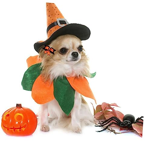 Garneck 10pcs Halloween Dog Headwear Pet Hair Flowers for Dogs for Festivals Special Occasions Easy DIY Accessories to Enhance