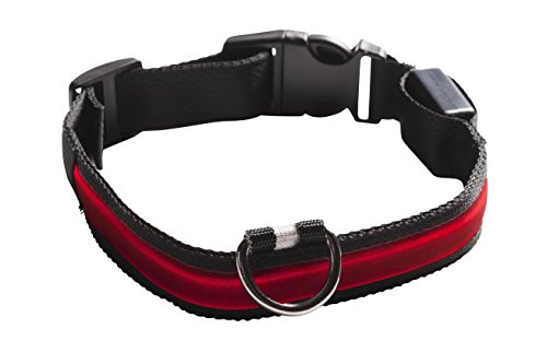 Eyenimal Collier Lumineux Rouge pour Chien 27 / 35 cm Cover